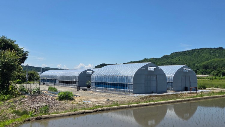 雪割草の栽培小屋を譲ります